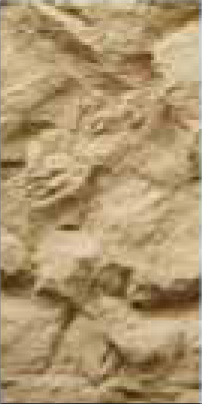 Gold hemp Image