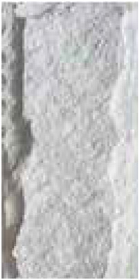 Snow white Image