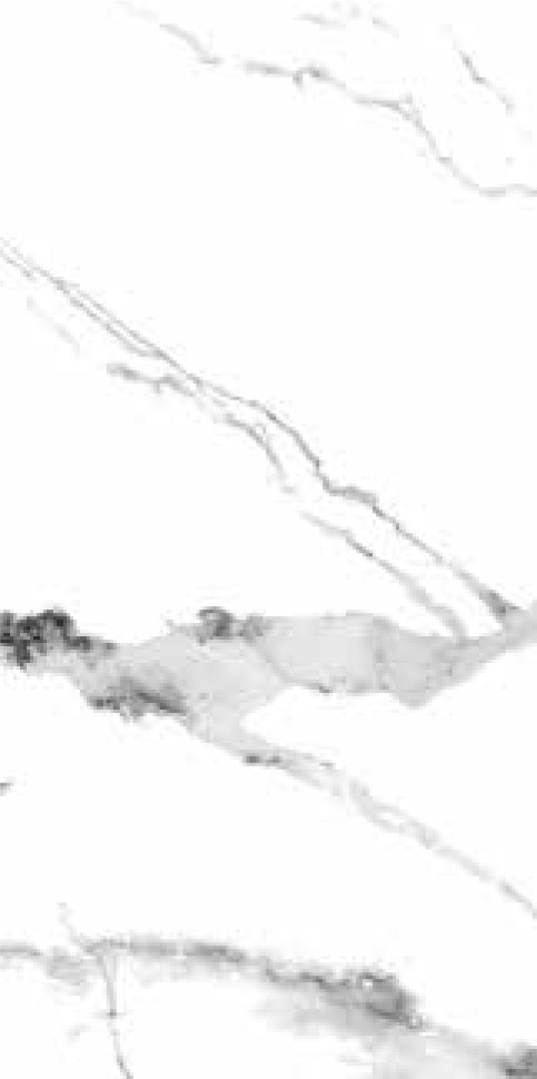 YD-024_D Image