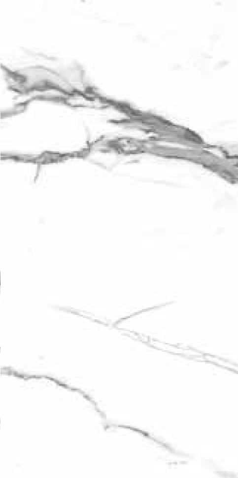 YD-025_C Image