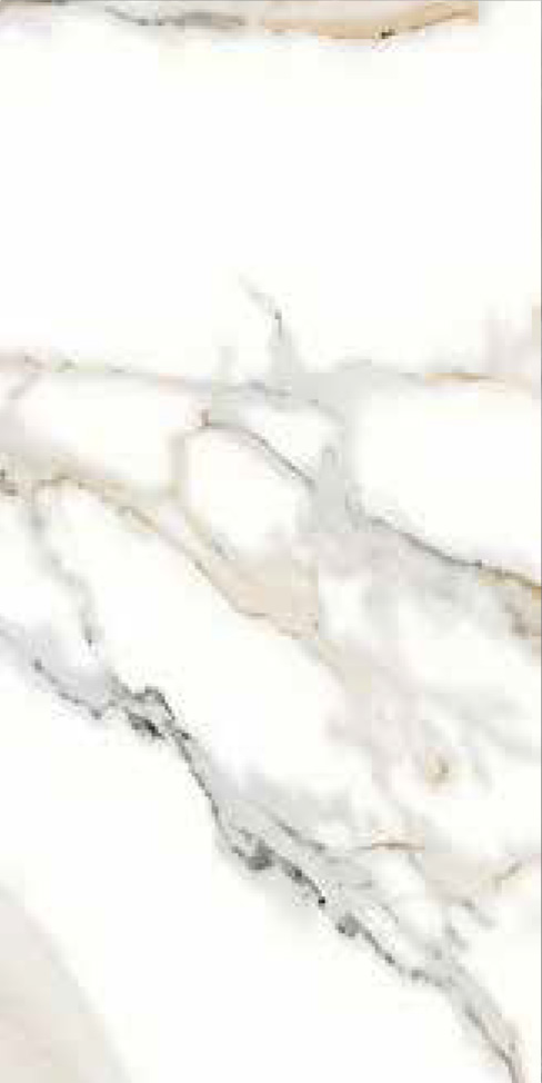 YD-077_D Image