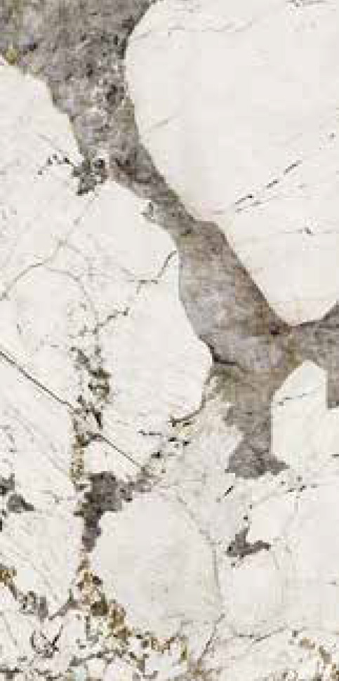 YD-027_B Image