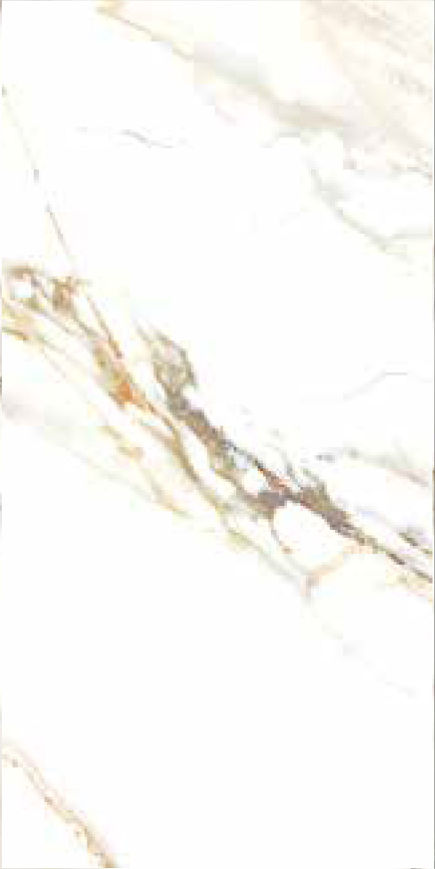 YD-078_B Image
