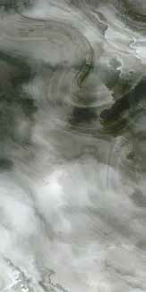 YD-086_C Image
