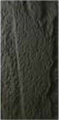 Elegant black Image