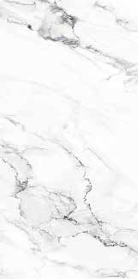 YD-031_A Image