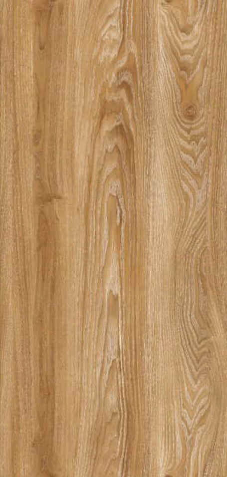 8002S-1 Image