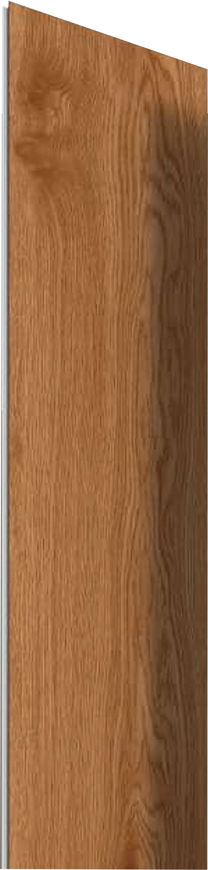 8003-1 Image