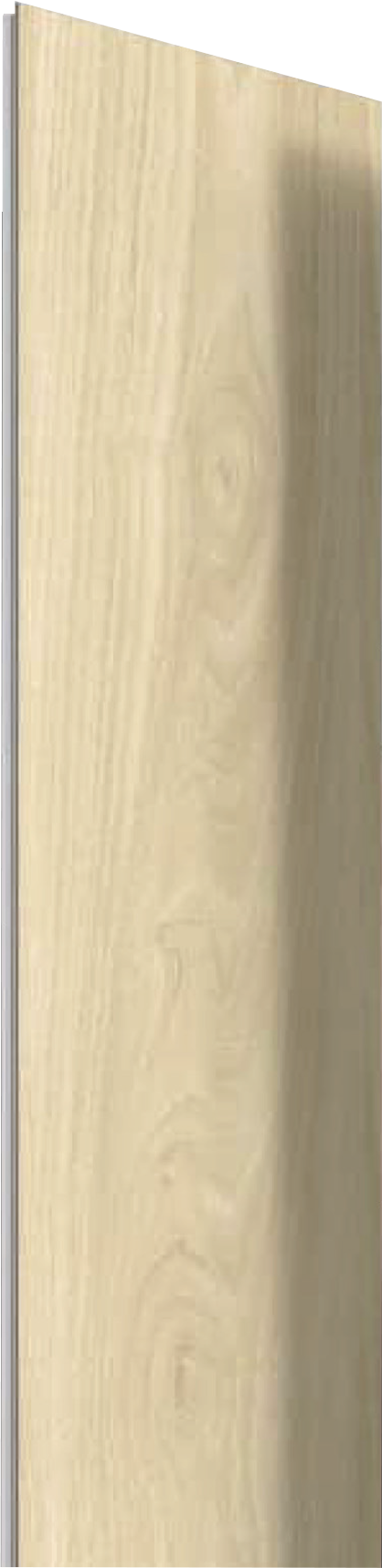 8002-12 Image