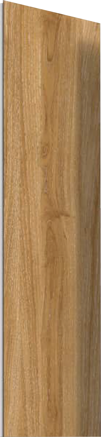 8002S-1 Image